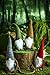 Swedish Gnome Christmas Decorations -Tomte - Scandinavian Elf - Plush Birthday Present - Home Ornaments Table Decor, Grey - 16 Inches