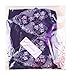 Ruzishun Women's Sexy Lingerie Diaphanous Pajama Lace Skirt Sleepwear Plus Size (M, Purple)