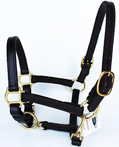 Amish USA Made English Bridle Leather Halter Horse Tack Brass 1" Full 976CW2007