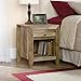 Sauder Dakota Pass Night Stand, Craftsman Oak finish