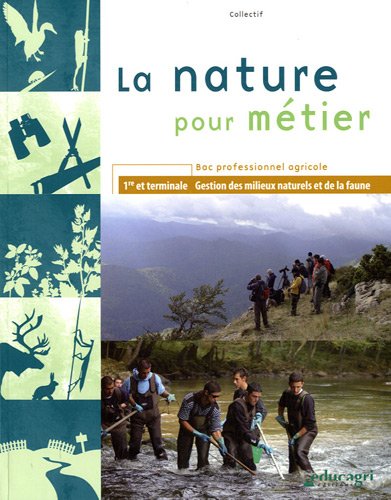 Le  destin de l'héritière émienne