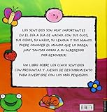 Image de Los 5 sentidos de Nacho (Spanish Edition)