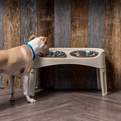 IRIS Large Plastic Elevated Feeder, Almond - //medicalbooks.filipinodoctors.org