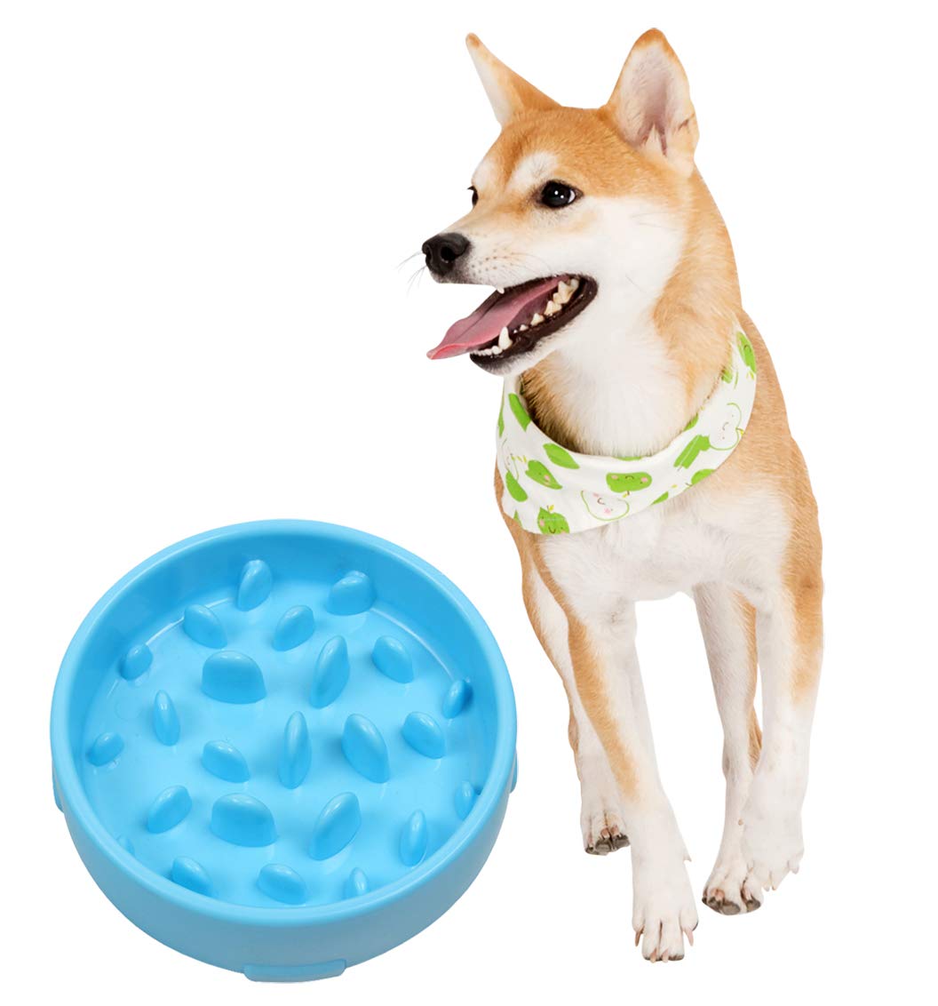 Ranvi Dog Feeder Slow Eat Pet Bowl Environmentally Friendly and Durable Non-toxic Prevention Choking Healthy Design Bowl for Dogs,Blue