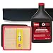 Toro Super Recycler (SR4) with OHV Engine (Serial Range #313000001 & UP) Tune-up Kit