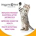 Doggone Best Products Cat Probiotics - Helps with Diarrhea and Constipation - All Natural Powder - Can Help Gas, Digestive Issues and Bad Breath - 8 oz - Made in The USA