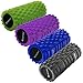 SFABFEMIT Foam Roller Massager for Trigger Point Therapy by SmarterLife - Massage Rollers for Sore Muscles, Pre and Post Workout, Exercise, Recovery, Yoga, Pilates, Cycling and Running (Black)