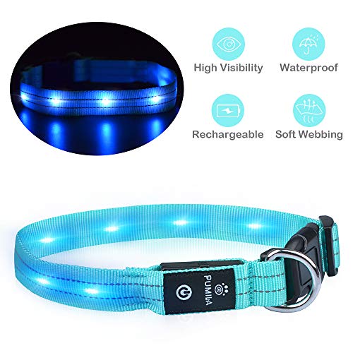 Pumila LED Dog Collar – Rechargeable Dog Collars, Flashing Light Collar for Small, Medium, Large Dogs, Basic Dog Collars