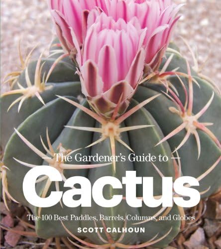 The Illustrated Encyclopedia of Cacti: Innes, Clive and Glass