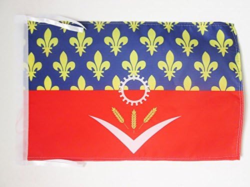 AZ FLAG, French Department of Seine-Saint-Denis Flag, 18'' x 12'', 100% Polyester France Small Banner with Two Cords