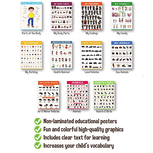 11 Educational Classroom Posters for Toddlers - Body Parts, Feelings & Emotions, Family, Clothing, Health, Vehicles, Animals, Birds & Insects - Learning for Toddlers Classroom Decorations - Thumbnail 2