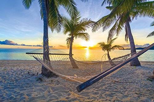 Poster Hammock at Palm Beach before sunset wall picture decoration Sun Caribbean holiday summer beach sea palm trees wall decor by GREAT ART (55 Inch x 39.4 Inch/140 cm x 100 cm)