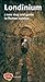 Londinium: A New Map and Guide to Roman London by 
