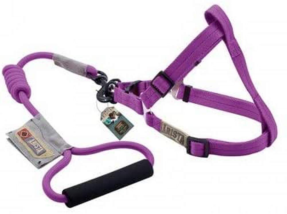 Zeus 99390 Harness and Leash for Dog Arista Round L, Purple
