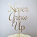 Never Grow Up Gold Glitter Paper Birthday Cake Topper