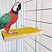5 Pack Bird Perch Stand Toy, Wood Parrot Perch Stand Platform Paw Grinding Stick, Cockatiel Cage Accessories for Budgies Parakeet Cockatiel Conurethumb 2