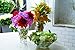 Nachtmann Slice 9.5-Inch Vase
