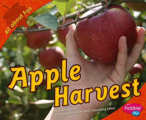 Apple Harvest (All about Fall)
