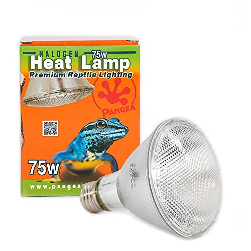 Pangea Halogen Heat Lamp for Reptiles (50 Watt) Pricepulse