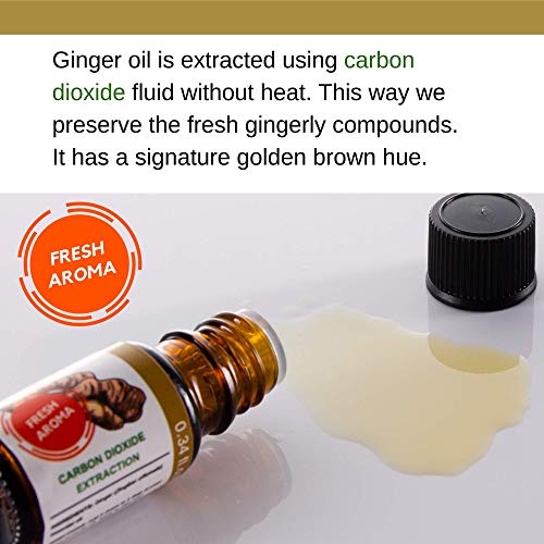 image for WNOPA Ginger Oil Fresh Herbal Ginger Essential Oil from Roots CO2 Extr