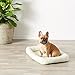 Amazon Basics Padded Pet Bolster Bed, 29 x 19 inches