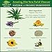 Amazing Aloe Vera Facial Cleanser for Women - Natural and Organic Ingredients - Use before Moisturiser to Cleanse, Soothe and Purify - Your Anti-Ageing Face Wash from Green Leaf Naturals - 240ml