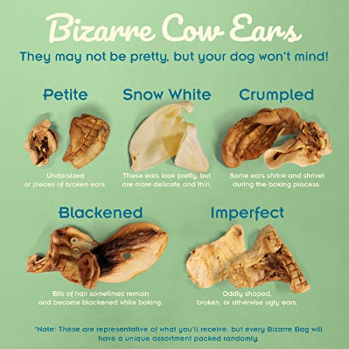 Pawstruck Natural Bizarre Cow Ears 1.5 lb Rawhide Free Dog Chew