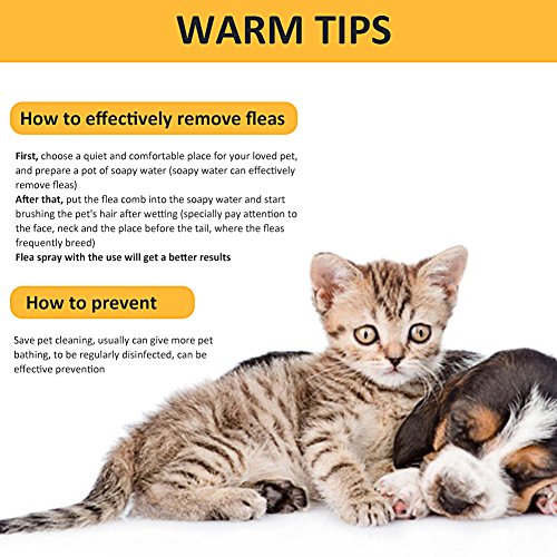Pet Steel Grooming Comb, Cat Dog Shedding Brush Tear Stain Remover Combs with Short to Long Hair, Steel Comb Gently and Effectively Removes Tangles, Crust, Mucus and Stains from Your Pets