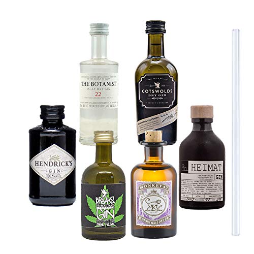 Gin Mini Tasting Set - 6 x Original Gin minis inkl. 1 x Glas Trinkhalm
