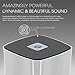 GearIt SoundCube Speaker, Compact Portable Bluetooth 4.0 Speaker with Built-in Mic and Speakerphone (Silver)