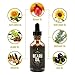 Beard Oil – Nourishing, Organic Plant-Derived Oils For Beard & Mustache Hair Growth – Leave-In Conditioner & Moisturizer - Against Itchy Skin, Beard Dandruff & Acne – Paraben Free & Vegan