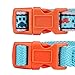 Blueberry Pet Pack of 2 Multiple Designs Mix and Match Sky Blue Dog Collar for Puppies & Small Dogs with Detachable Orange Flower Accessory, S, Neck 12″-16″thumb 3