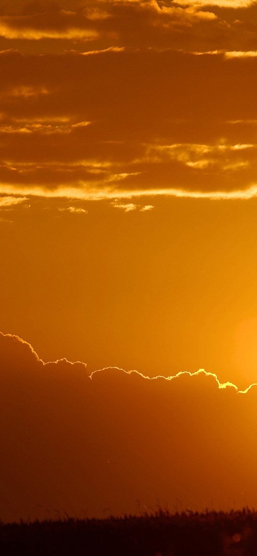 PeelitStickit, Beautiful Nature Wall Murals, ID-1964, vinyl