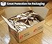 Mighty Dreams Brown Kraft Paper Jumbo Roll - 30