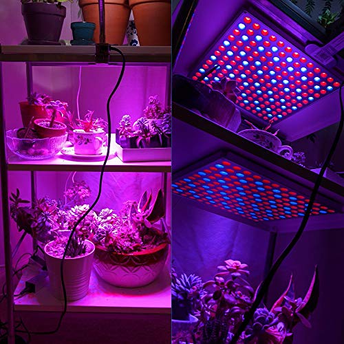 Roleadro 45W LED Plant Grow Light With Red Blue Spectrum For Growing