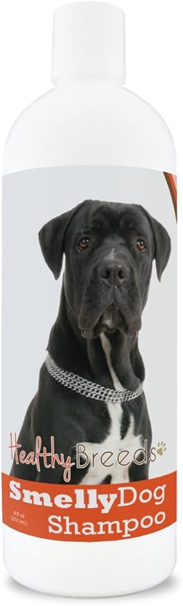 cane corso hypoallergenic