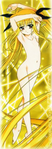 フェイトのビーチサイド＆変身抱き枕カバー