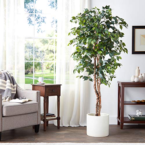Nearly Natural 6ft. Ficus Artificial Trees, 72in, Green Pricepulse