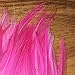 Creative Angler Saddle Hackle for Fly Tying/Tying Flies (Hot Pink)