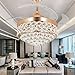 RS Lighting Chandelier Ceiling Fan with Crystal for Room Decoration 42 Inch Shrinkable Blades Invisible Ceiling Fan Led 32W Has 3 Light Color for Indoor Outdoor Living Dining Room Corridor (Gold)