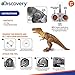 Discovery Kids Remote Control RC T Rex Dinosaur Electronic Toy Action Figure Moving & Walking Robot w/Roaring Sounds & Chomping Mouth, Realistic Plastic Model, Boys & Girls 6 Years Old+