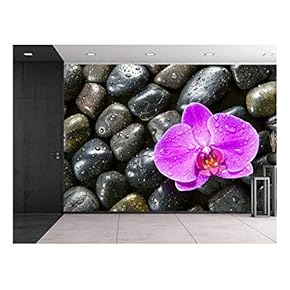 Pink Orchid Flower Surrounded by Rocks with Rain Drops - Wall Mural, Removable Sticker, Home Decor - 66x96 inches