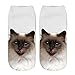 Womens Girls 3D Novelty Colorful Funny Cat Pug Ankle Socks, Crazy Cute Cartoon Low Cut Kitty Socks 5 Value Pack