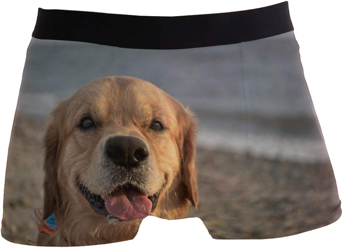 Cute Animal Dog Golden Retriever Puppy Boxer Briefs For Men Boy