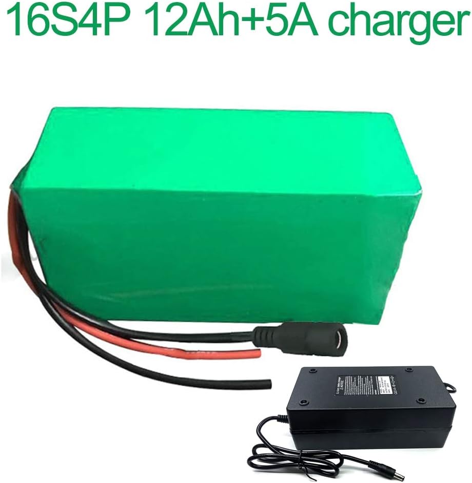 Seilylanka With 5A charger 60V 12Ah 16S4P Li-ion Battery electric two Three wheeled motorcycle bicycle ebike 255 * 100 * 70mm