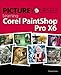 Picture Yourself Learning Corel PaintShop Pro X6