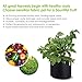 VIPARSPECTRA 6-Pack 5 Gallon Grow Bags Thickened Nonwoven Aeration Fabric Pots Container with Heavy Duty Durable Handles for Garden Indoor Plantsthumb 4