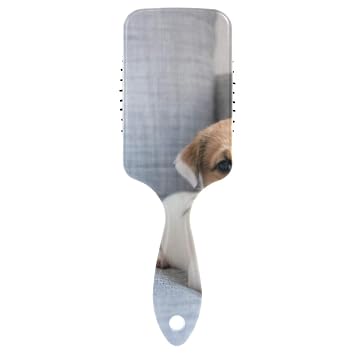 Amazon Com Dog Puppy With Soccer Ball Air Cushion Comb Comb Men