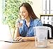 BWT Vida Water Filter Pitcher With 3 Bonus 60 Day Filters, Technology For Filtration & Taste