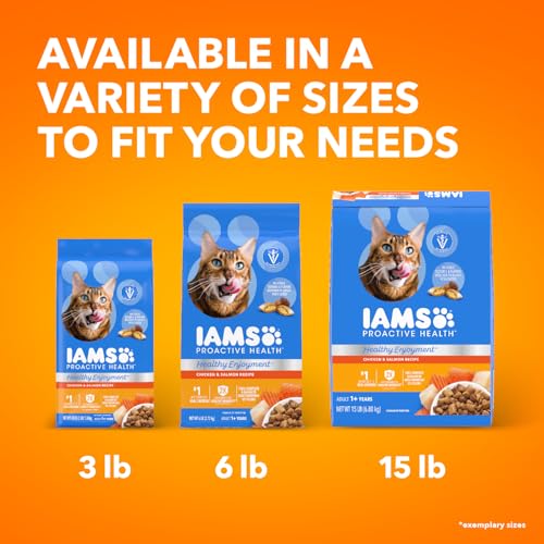 IAMS HEALTHY ENJOYMENT DRY CAT FOOD CHICKEN & SALMON RECIPE, 3 LB. BAG